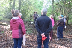 A Talk about Bricks in a Brick Pit