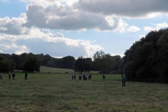 Residents Walking on the Common