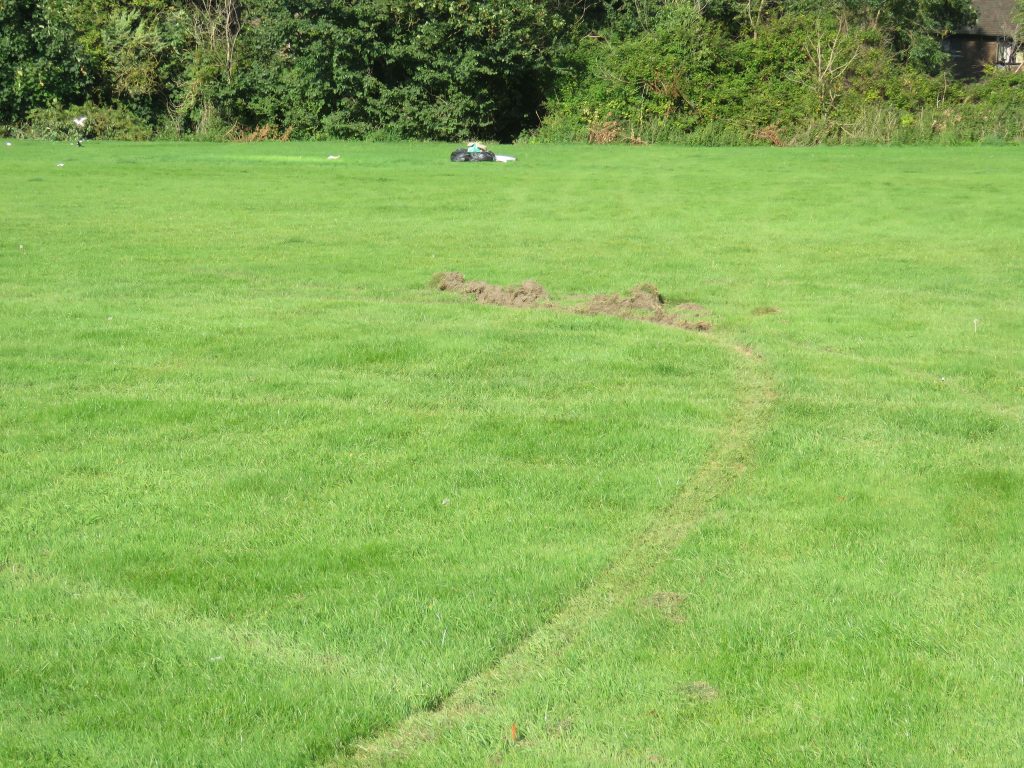 Damage to KGV Playing Fields