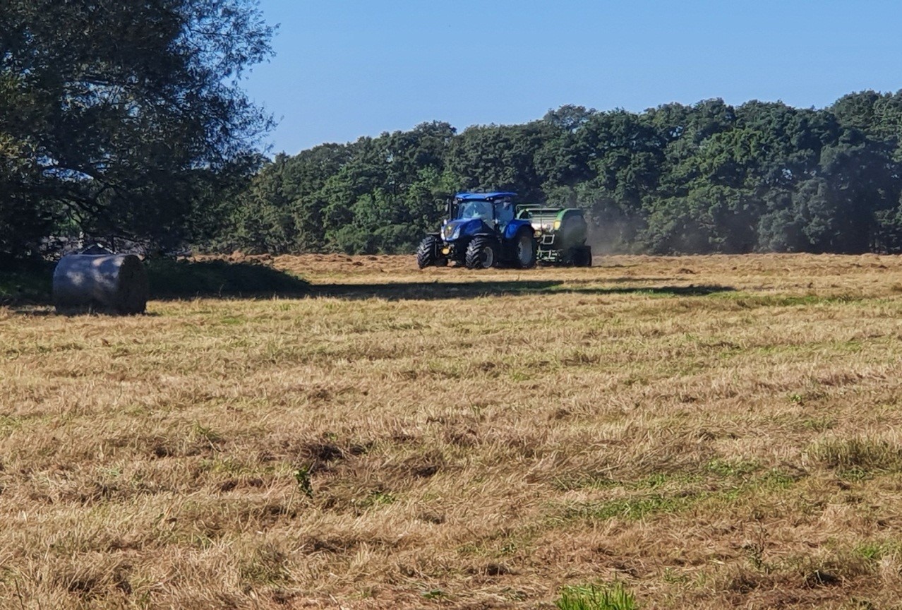 Grass-being-cut-for-Hay-on-Effingham-Common-2000s